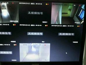 无视频信号,探索无视频信号背后的科技奥秘